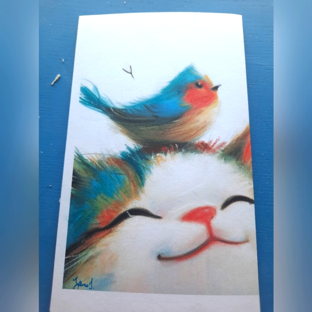3 for 25$ , Colorful cat and bird greeting card / 5 x 8 inches / Mixedmedia